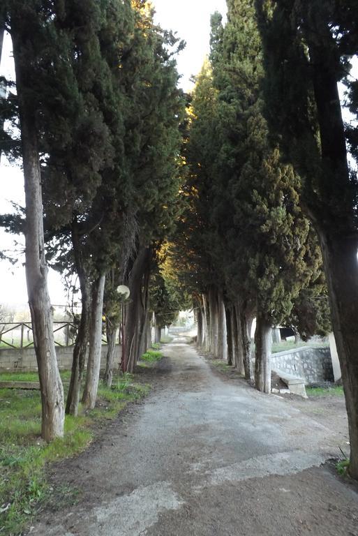 Ostello Il Volto Potenza Bagian luar foto